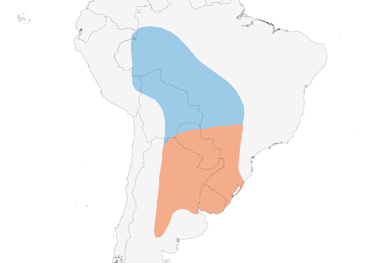 Ash-colored Cuckoo, Distribution 1
