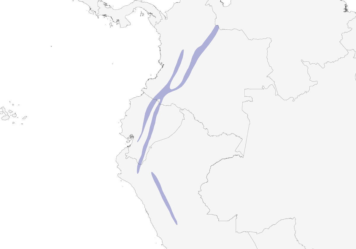 Tapaculo Ceniciento, Distribución 1