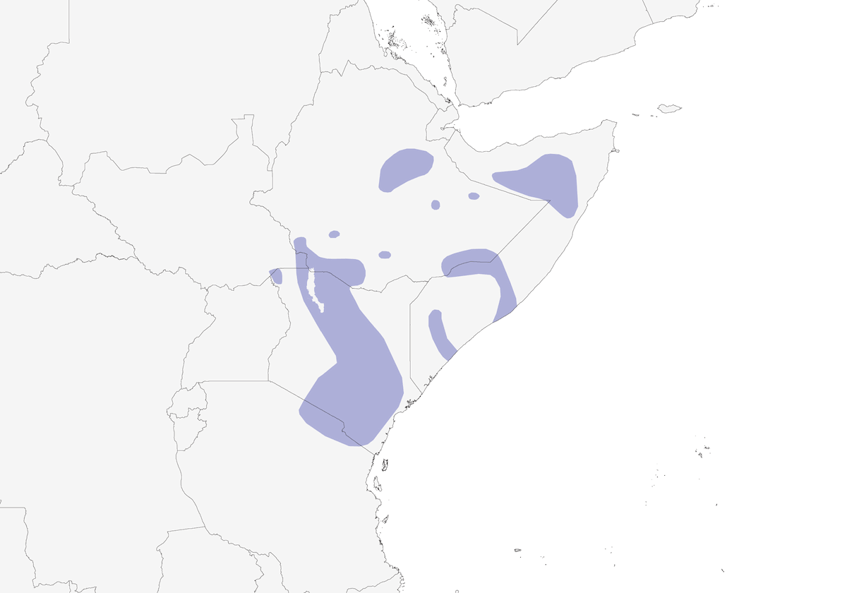 Cisticole cendrée, Distribution 1