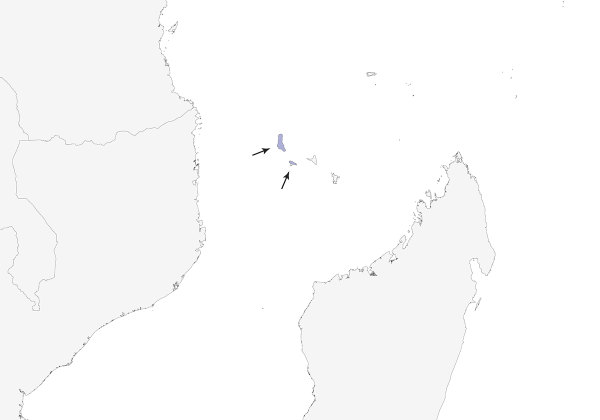 Coracina delle Comore, Distribuzione 1