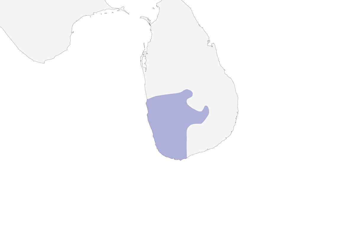 Ashy-headed Laughingthrush, Distribution 1
