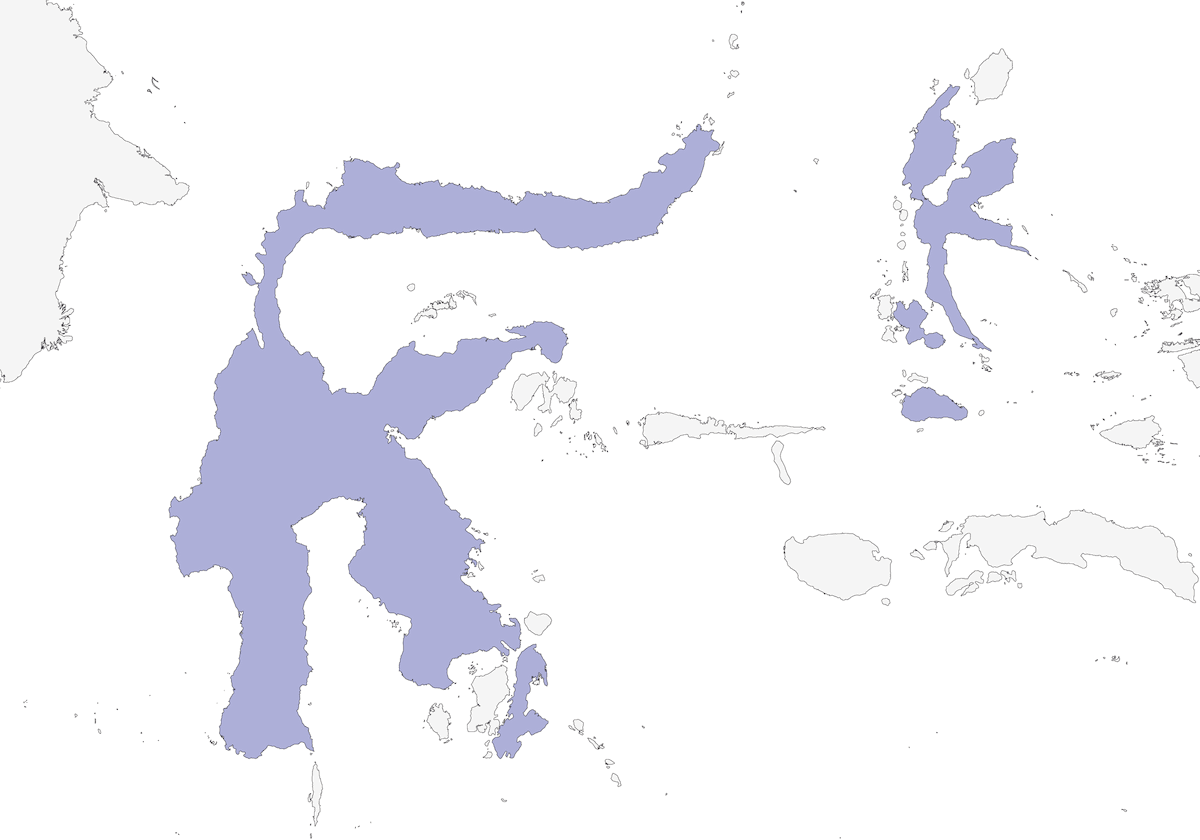 Cuco Drongo Moluqueño, Distribución 1