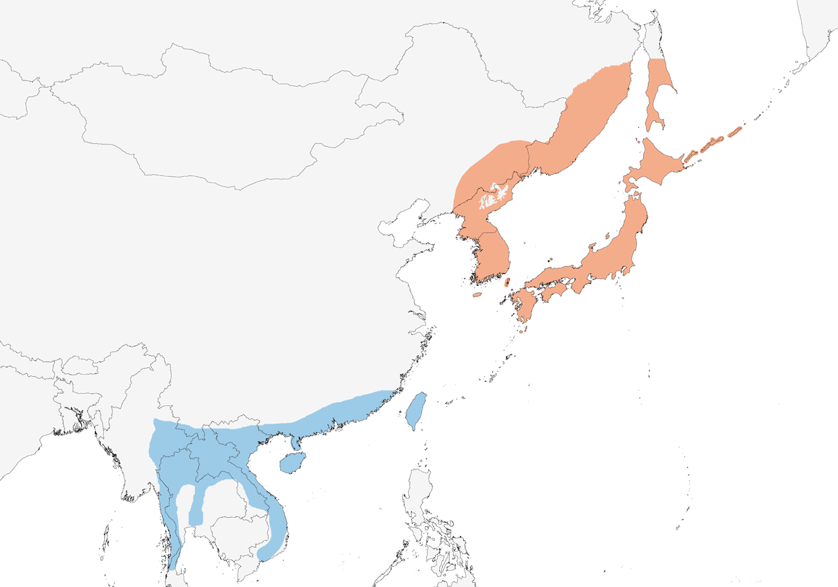 Asian Stubtail, Distribution 1