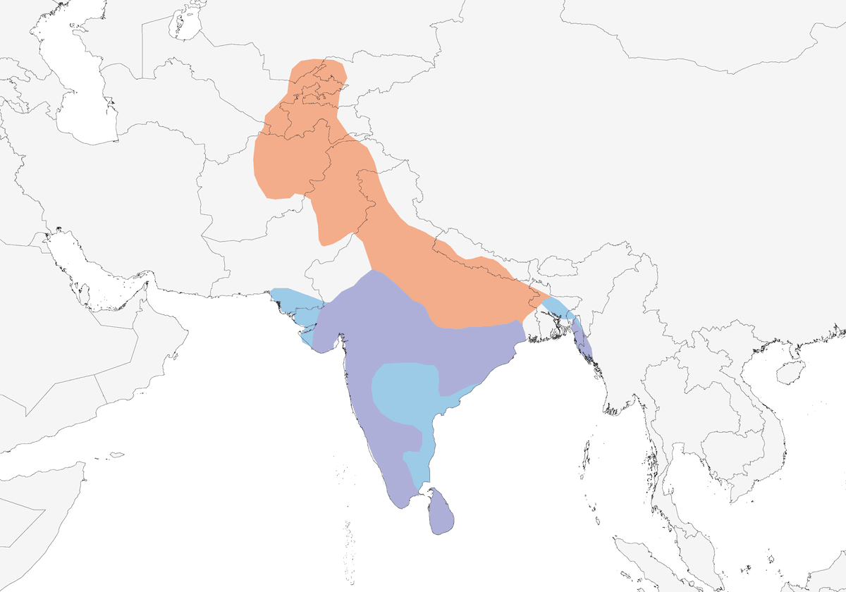 Monarca del paradiso indiano, Distribuzione 1
