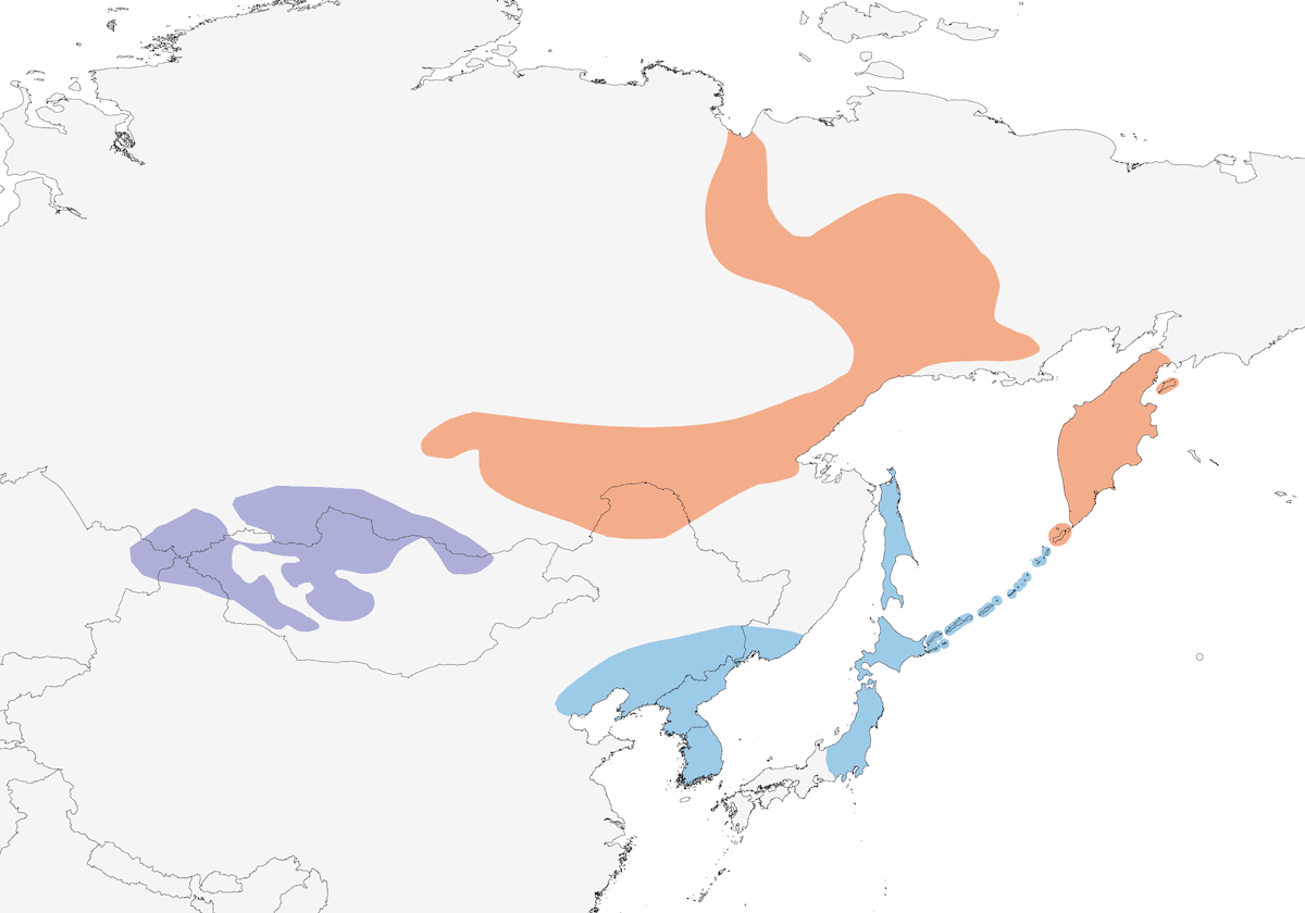Asian Rosy-Finch, 分布 1