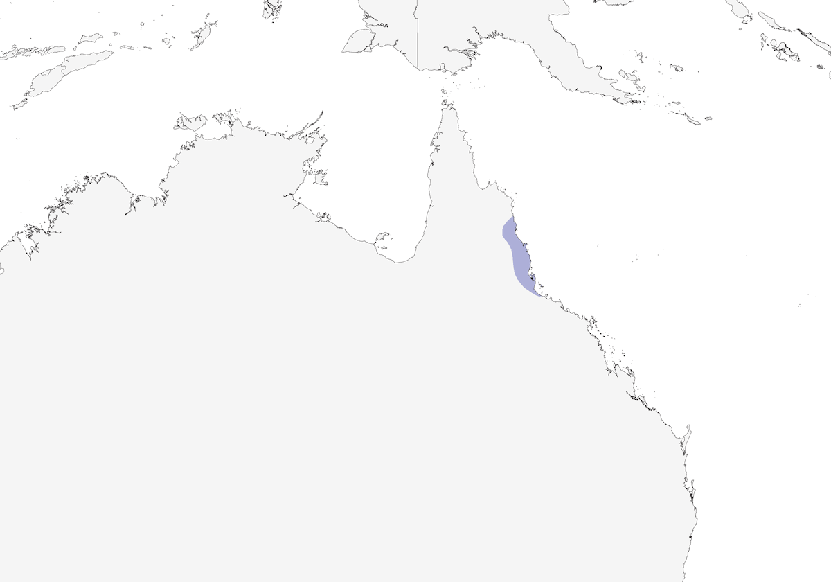 Atherton Scrubwren, Distribution 1