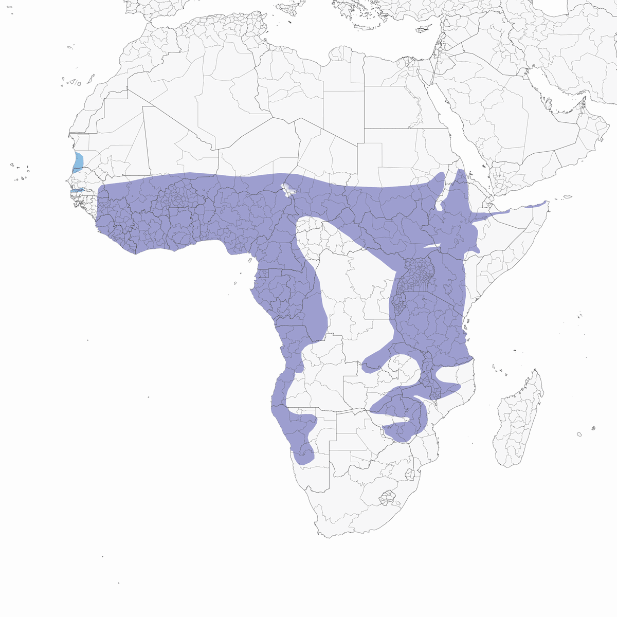 Augur Buzzard, Distribution 1