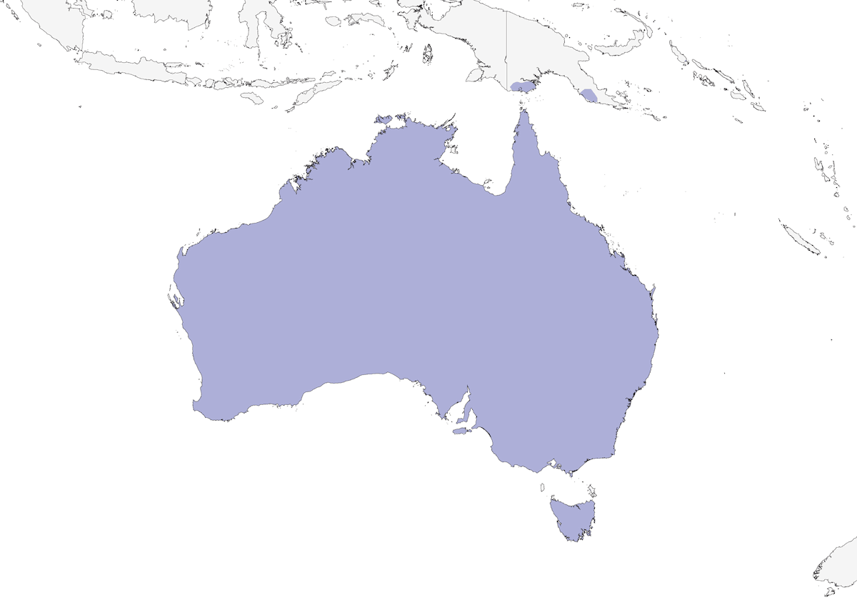 Egotelo australiano, Distribuzione 1