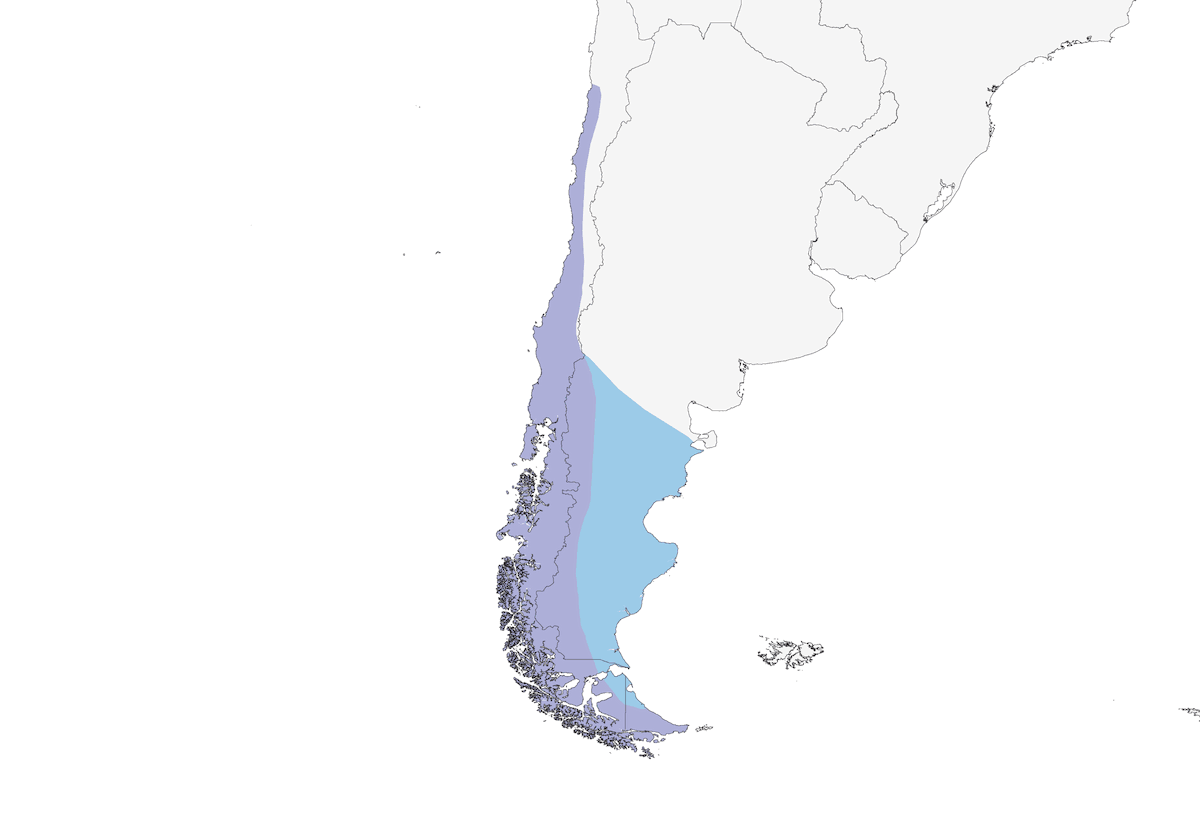 Zorzal austral, Distribución 1