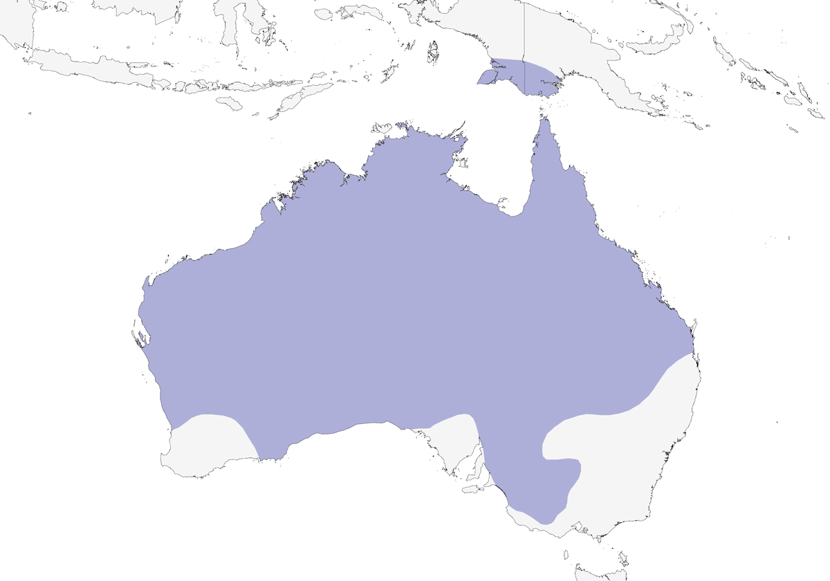 Otarda australiana, Distribuzione 1