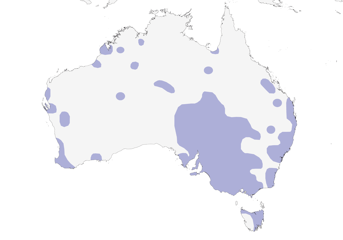 Australische Tüpfelralle, Verbreitung 1