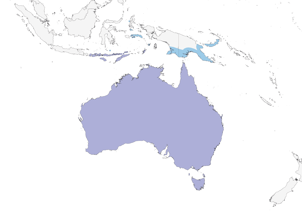 Australischer Baumfalke, Verbreitung 1