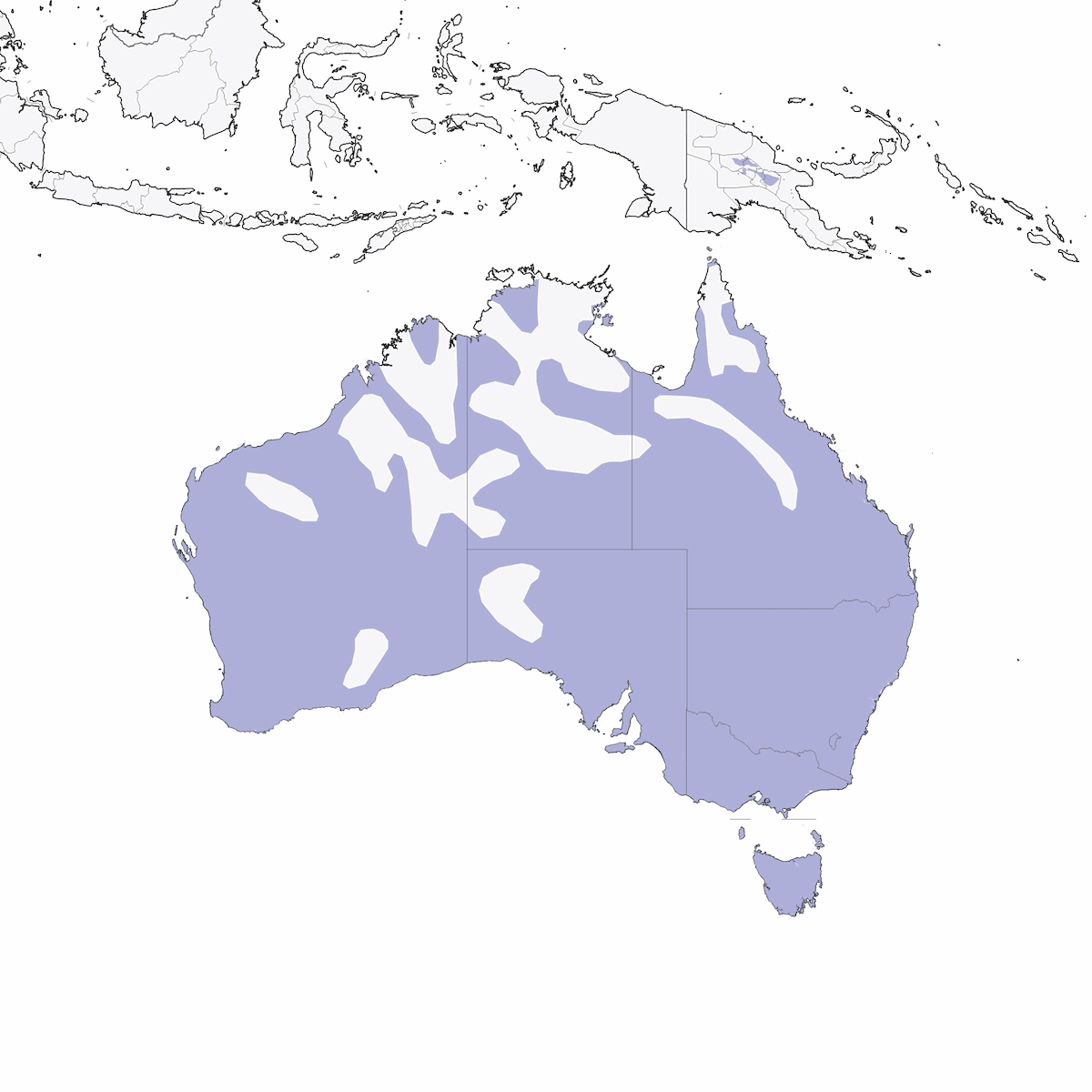 Calandrina australiana, Distribuzione 1