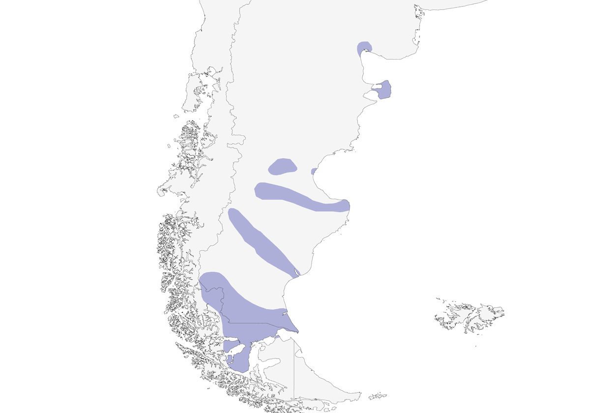 Austral Rail, Distribution 1