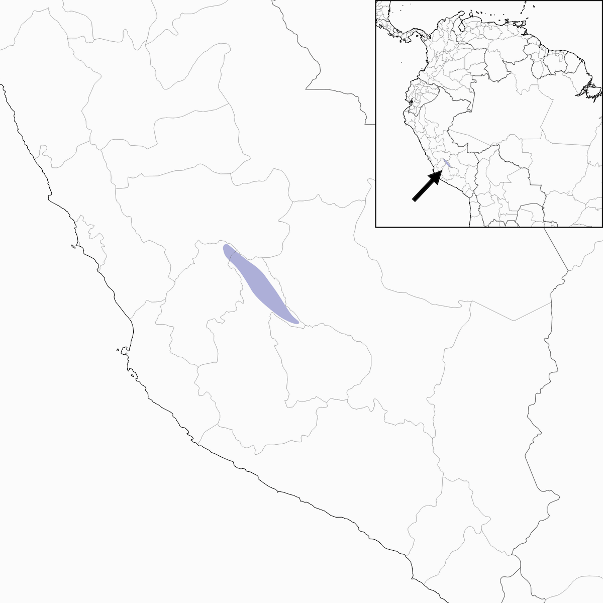 Tororoi de Ayacucho, Distribución 1