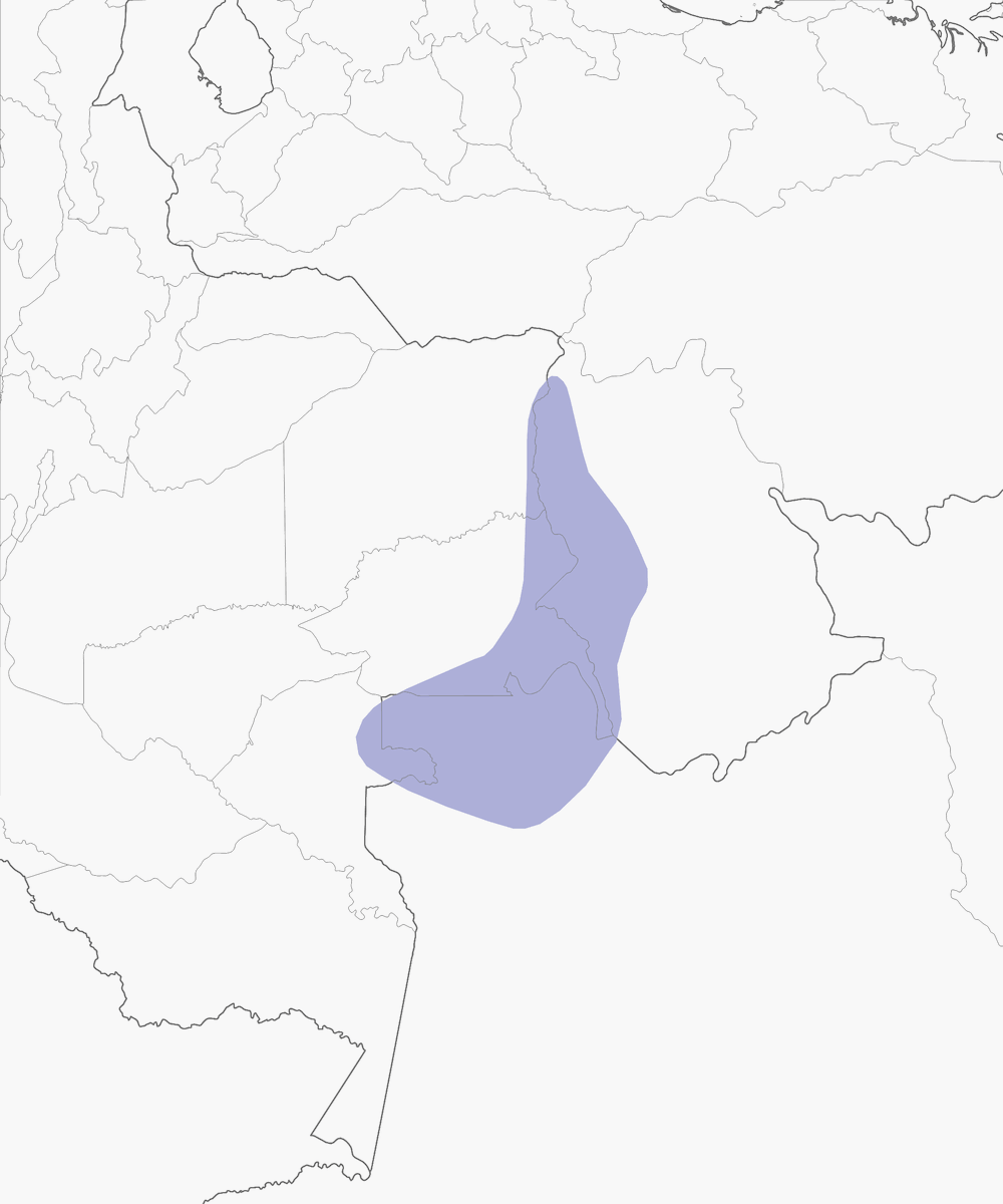 Geai à nuque azur, Distribution 1