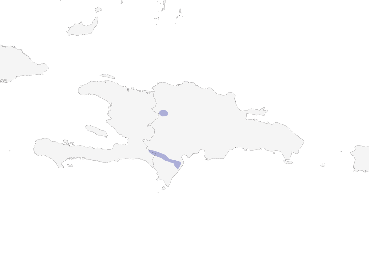 Cuculo pettocastano, Distribuzione 1