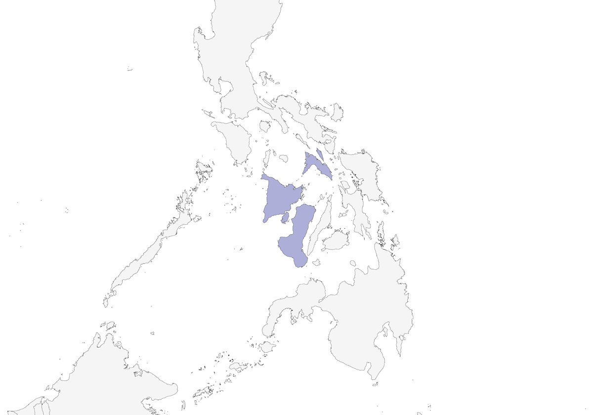 Visayan Cuckooshrike, Distribution 1