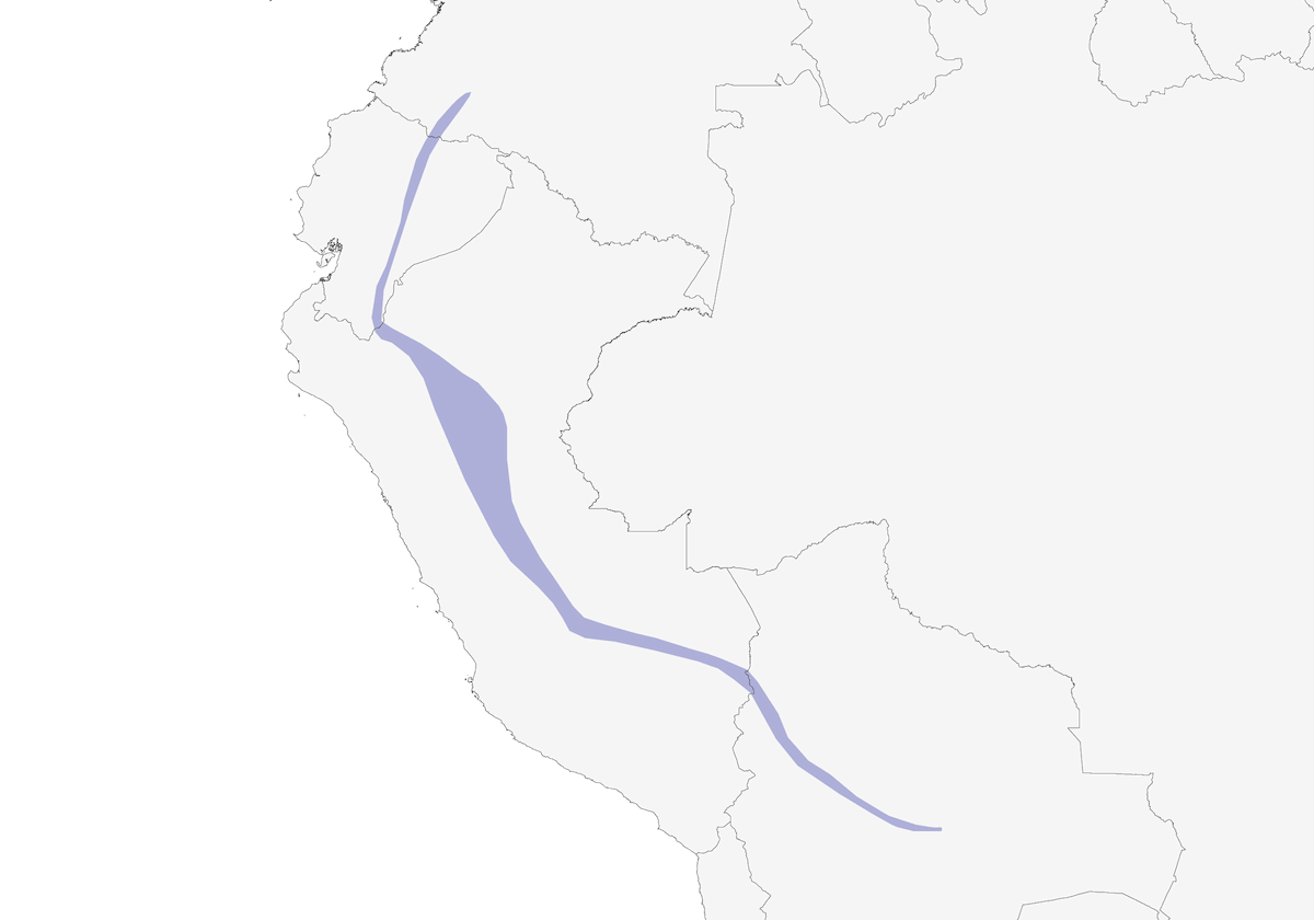 Band-bellied Owl, Distribution 1