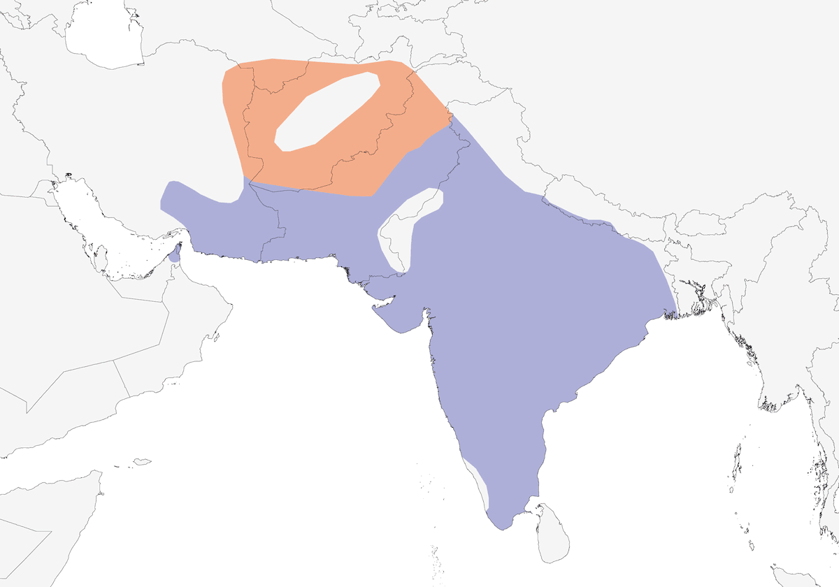 Averla dorsocastano, Distribuzione 1