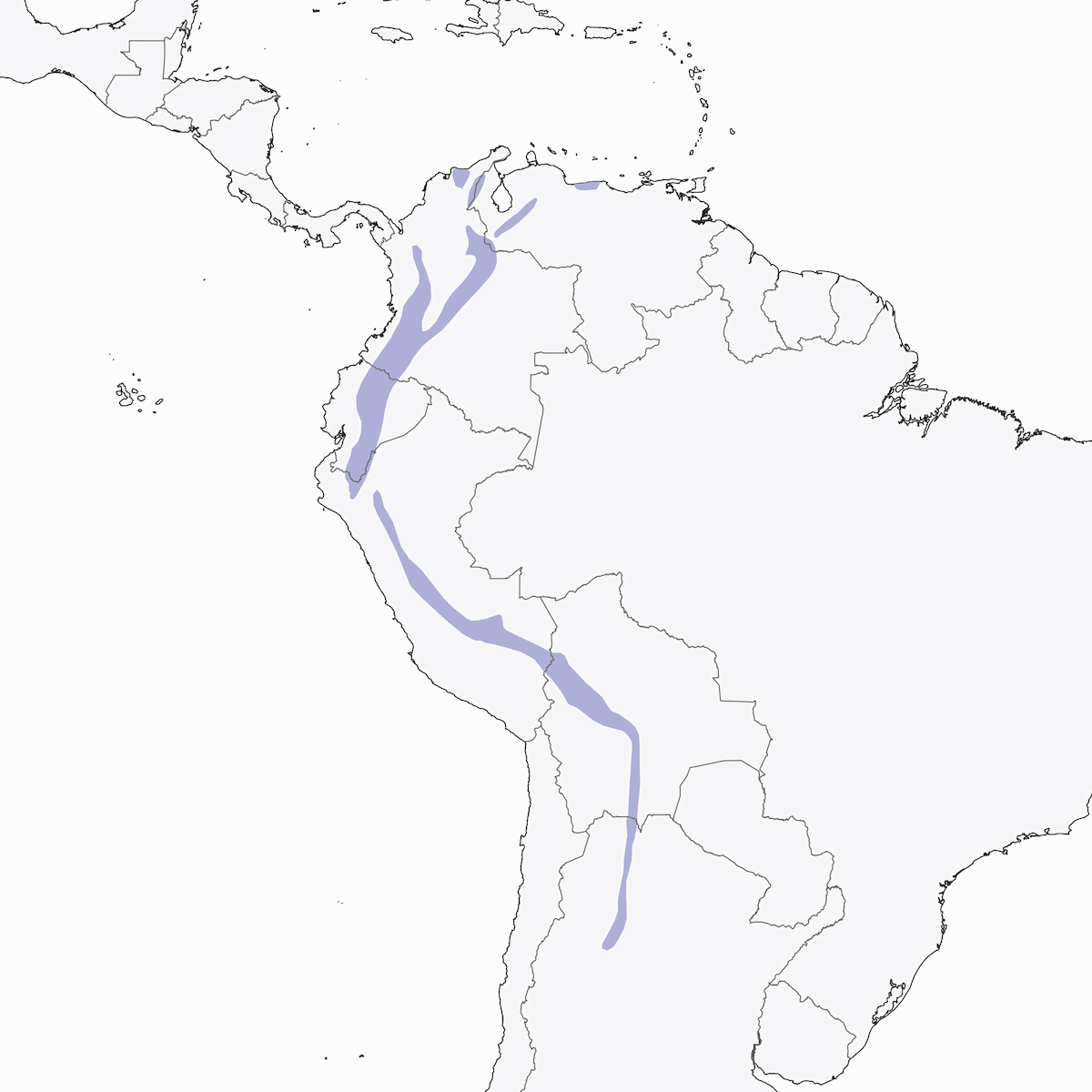 Águila negra y castaña, Distribución 1