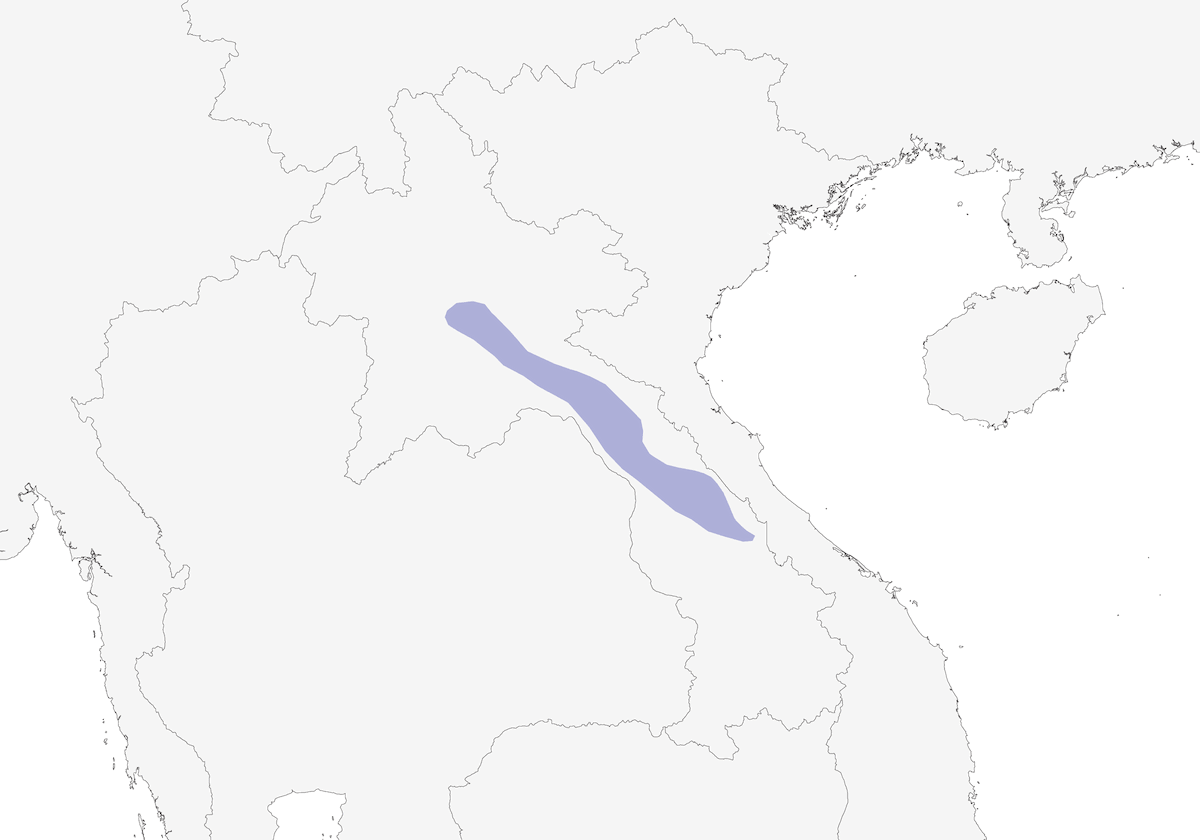Bare-faced Bulbul, Distribution 1