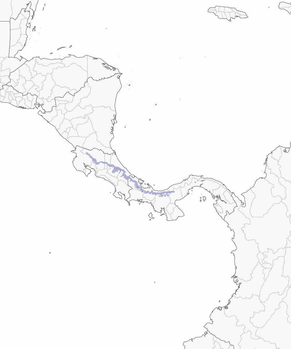 Tangara à nuque d'or, Distribution 1