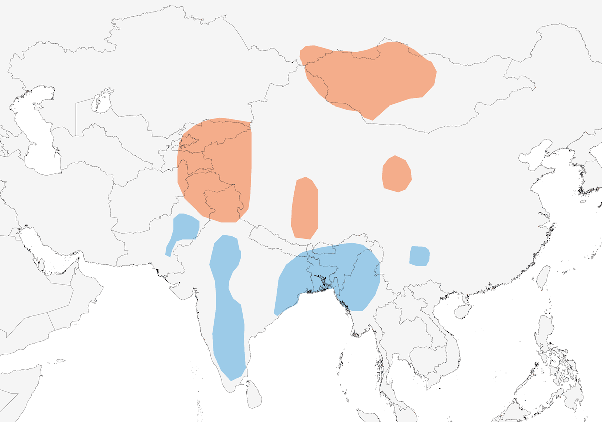 Oie à tête barrée, Distribution 1