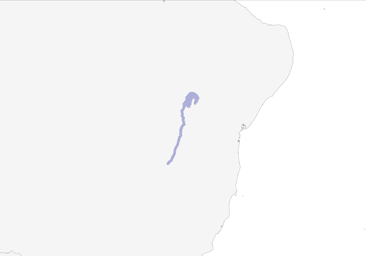 Succiacapre di Bahia, Distribuzione 1