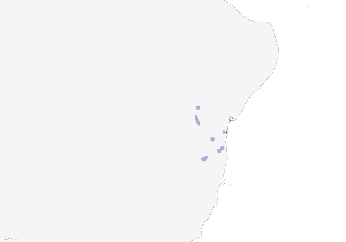 Synallaxe de Bahia, Distribution 1