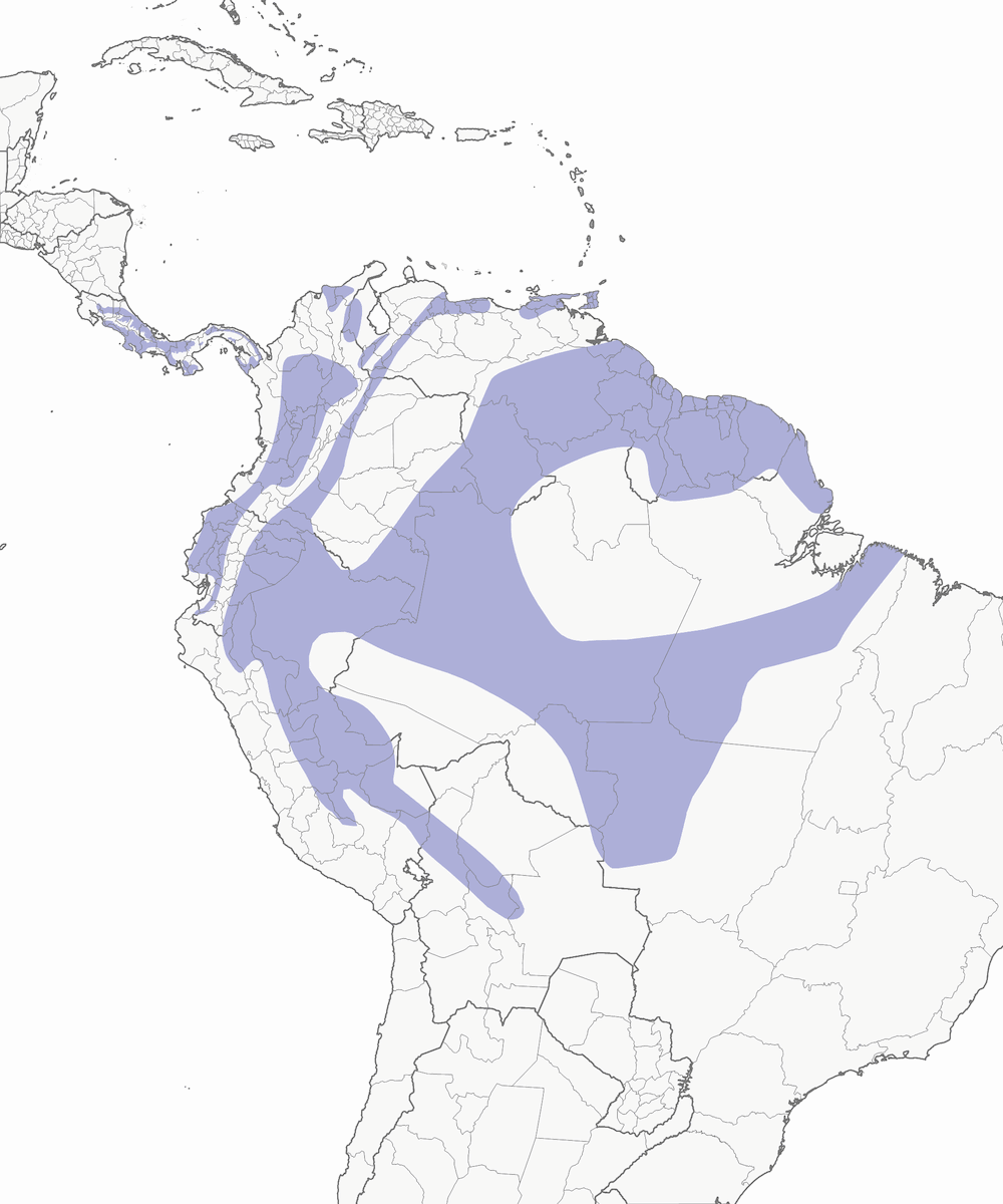 Bay-headed Tanager, Distribution 1