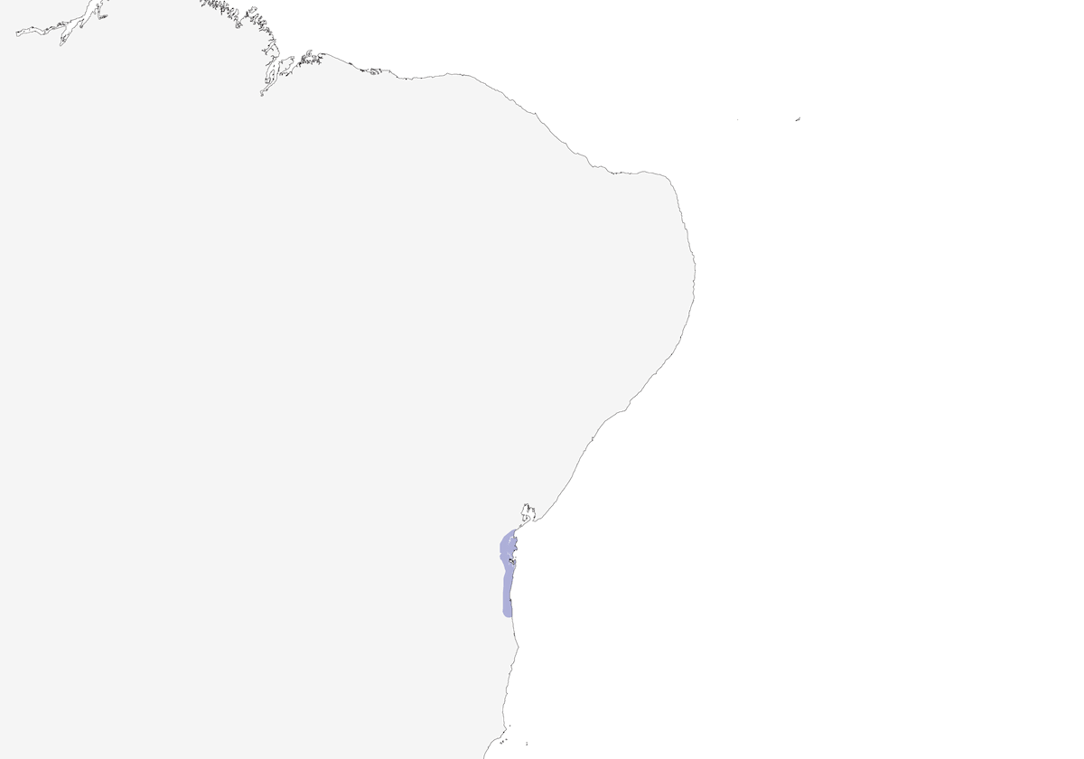 Bahia-Tapaculo, Verbreitung 1