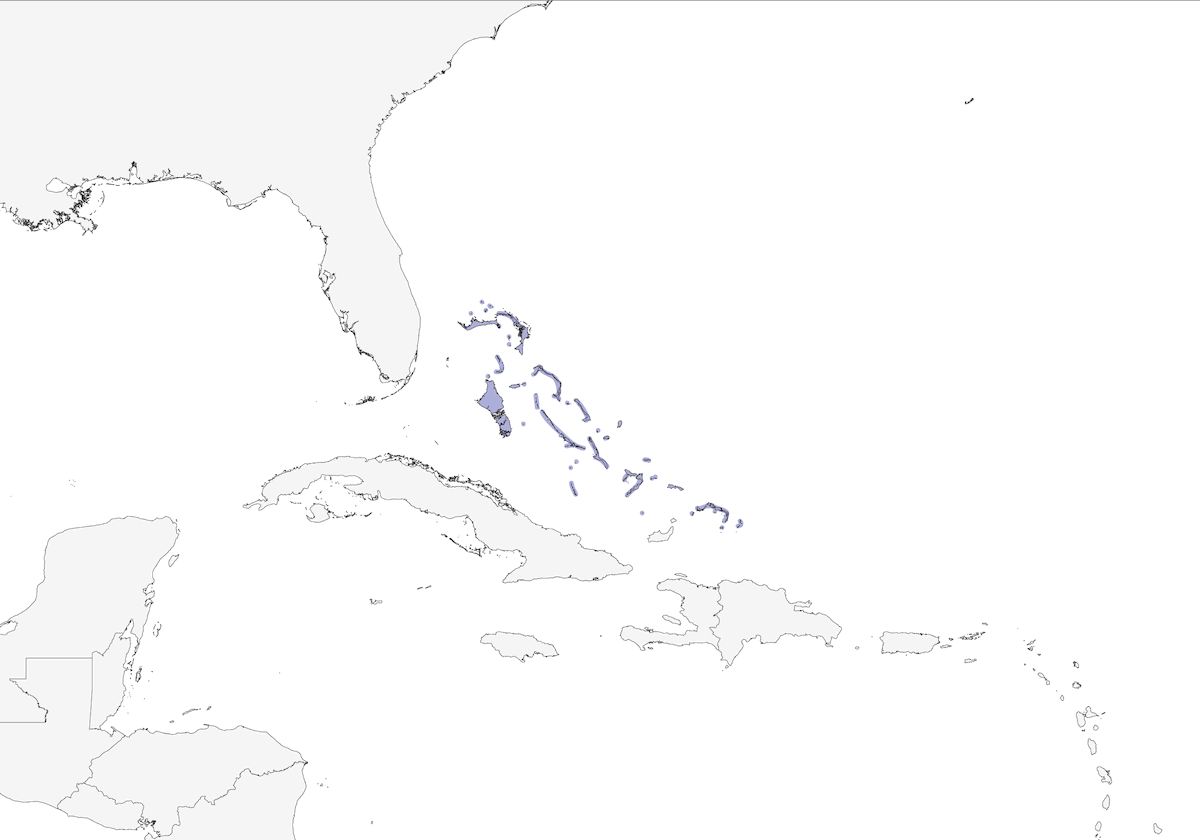 Colibri des Bahamas, Distribution 1