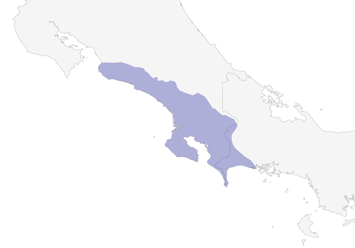 Trogone di Baird, Distribuzione 1