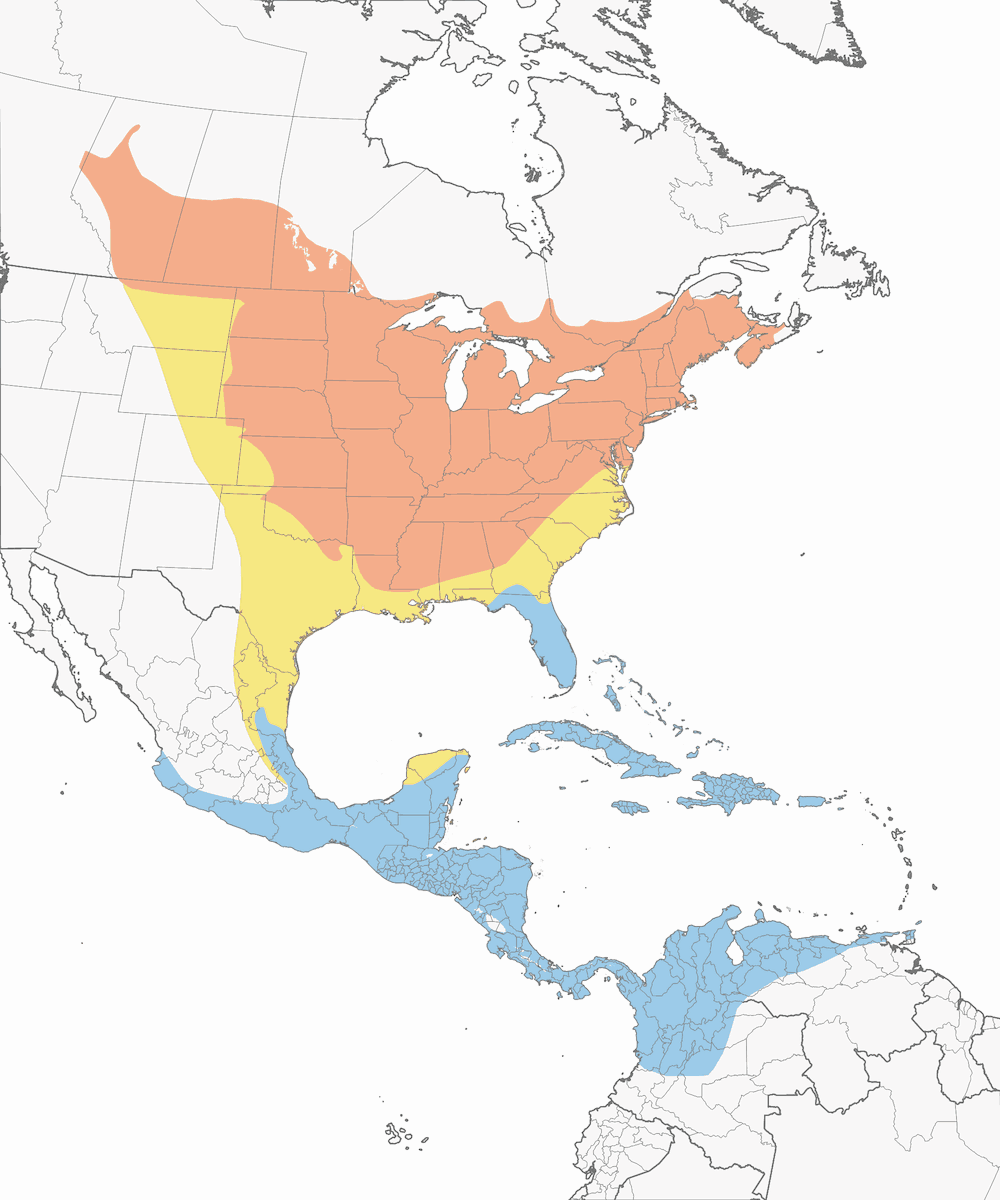 Baltimore Oriole, Distribution 1