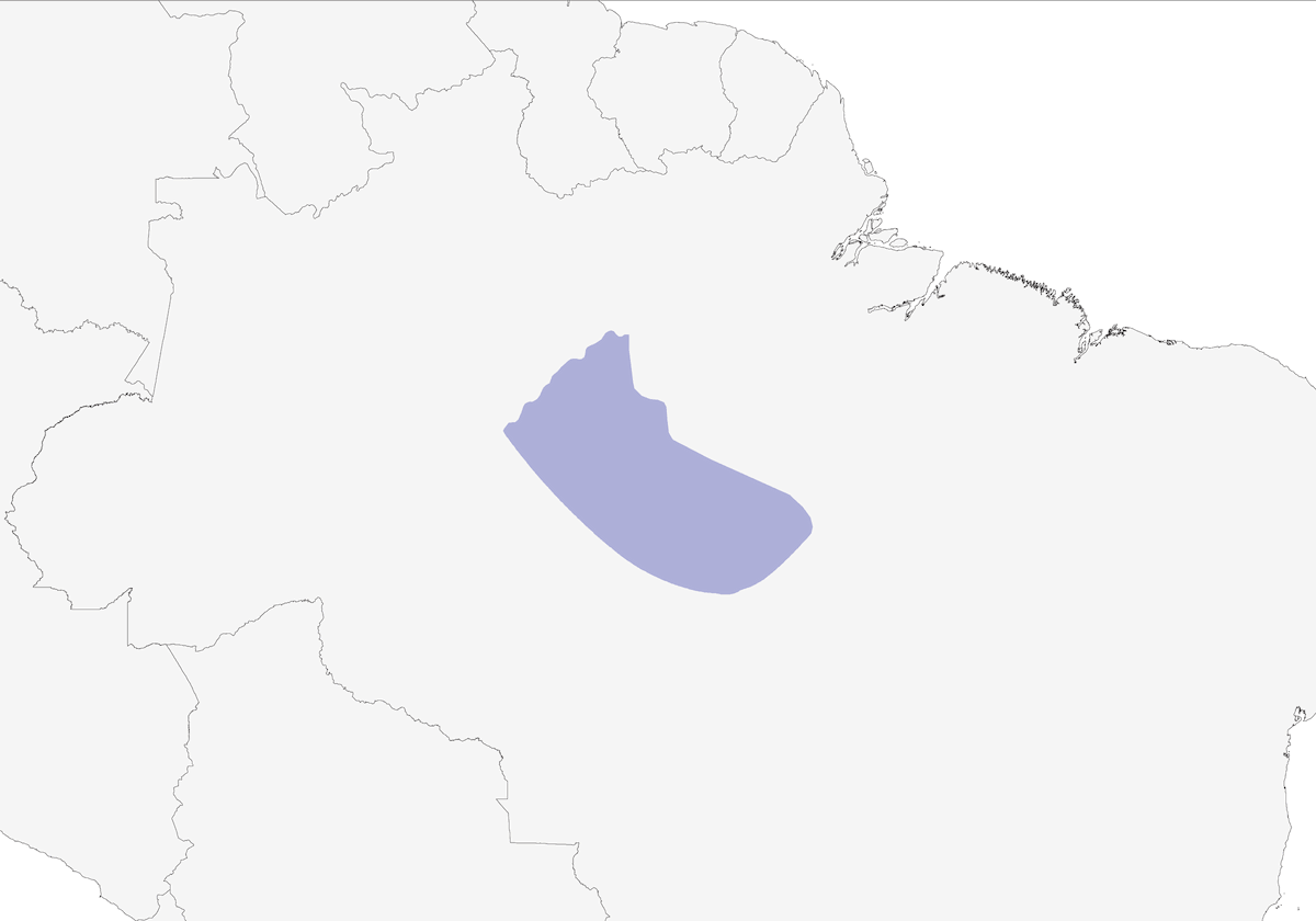 Loro calvo, Distribución 1