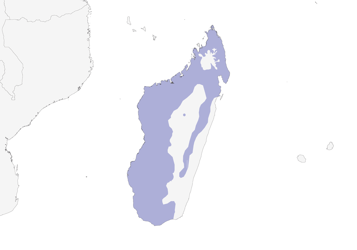Cernícalo Barrado, Distribución 1