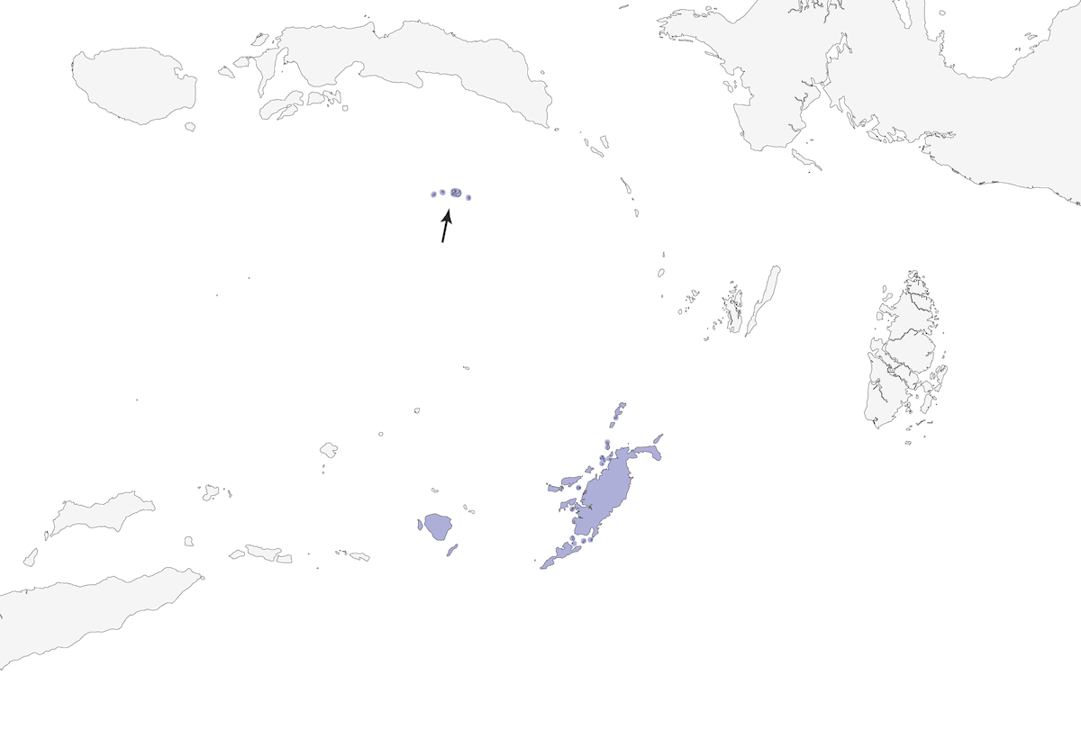 Mizomela de Banda, Distribución 1