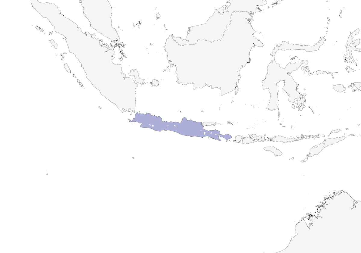 Pita de Java, Distribución 1