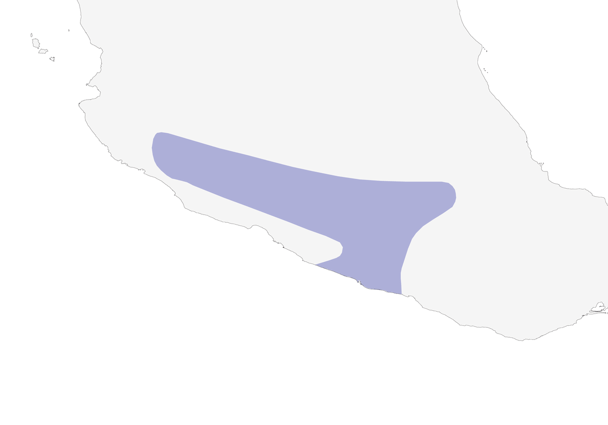 Banded Quail, Distribution 1