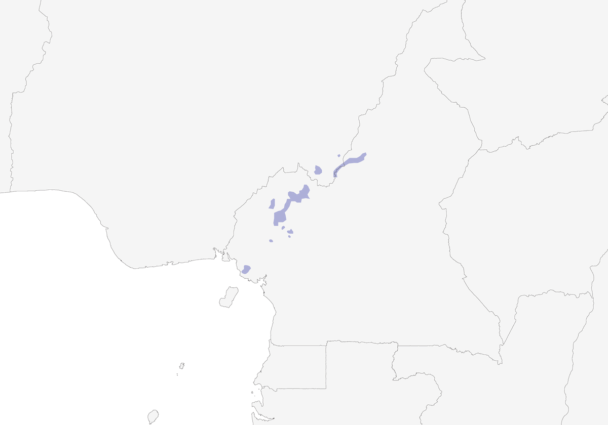 Carricero de Bangwa, Distribución 1