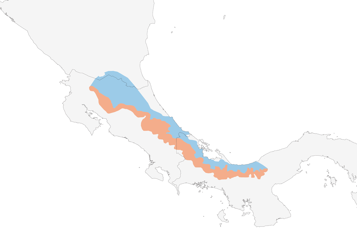Bare-necked Umbrellabird, Distribution 1