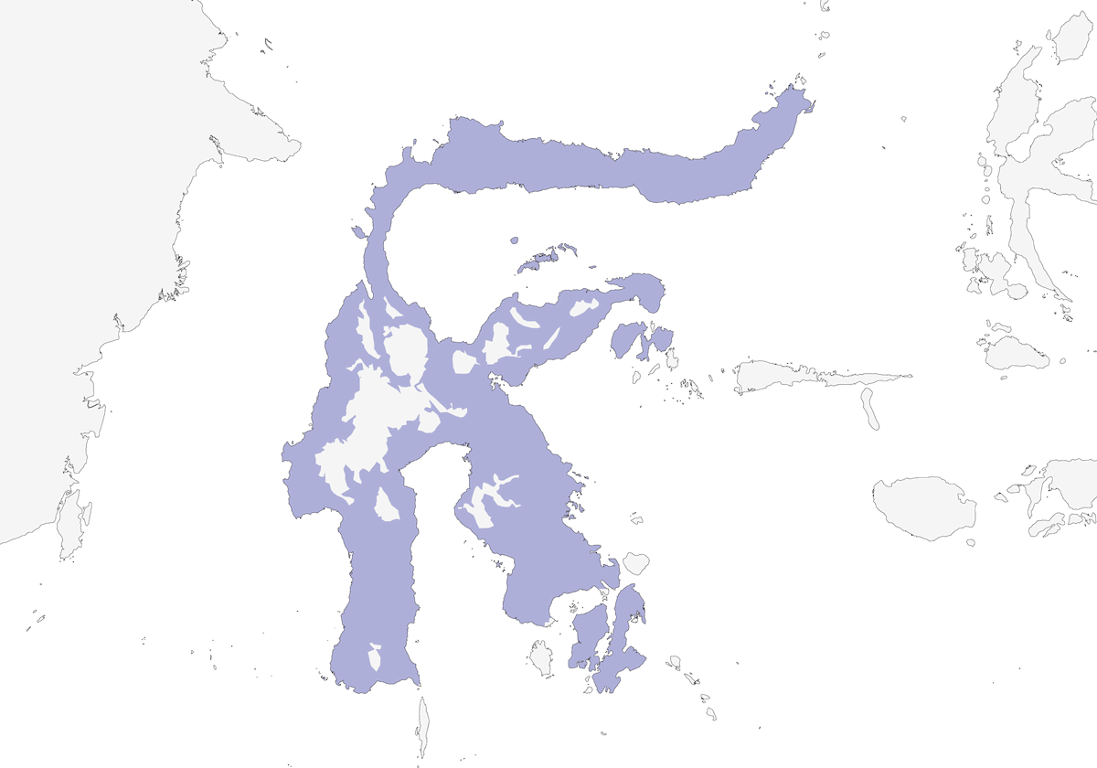 Sulawesi Honey-buzzard, Distribution 1