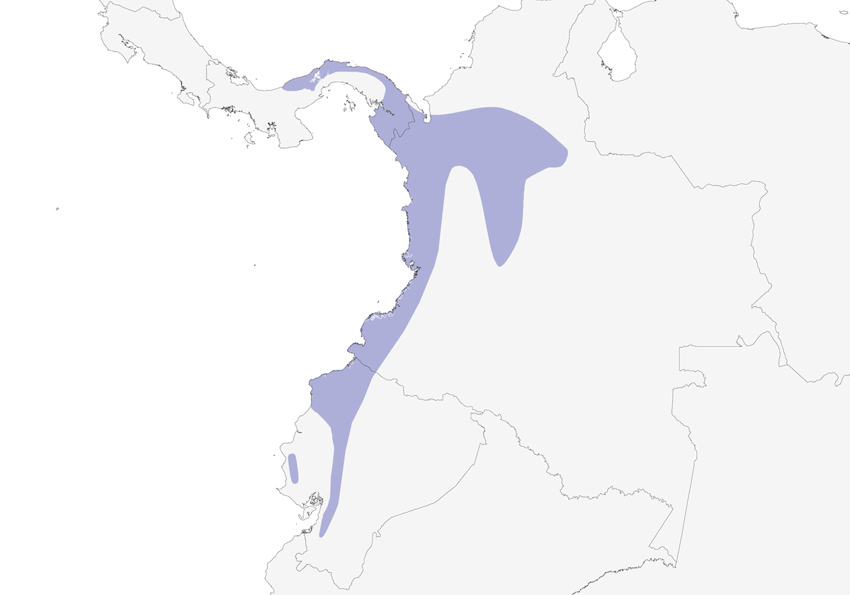 Tamatia barré, Distribution 1