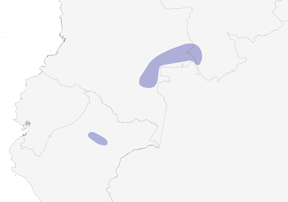 Tinamú Barrado, Distribución 1