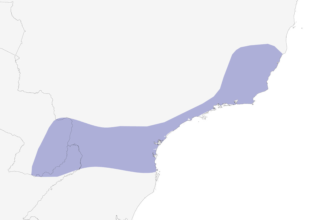 Bay-ringed Tyrannulet, Distribution 1