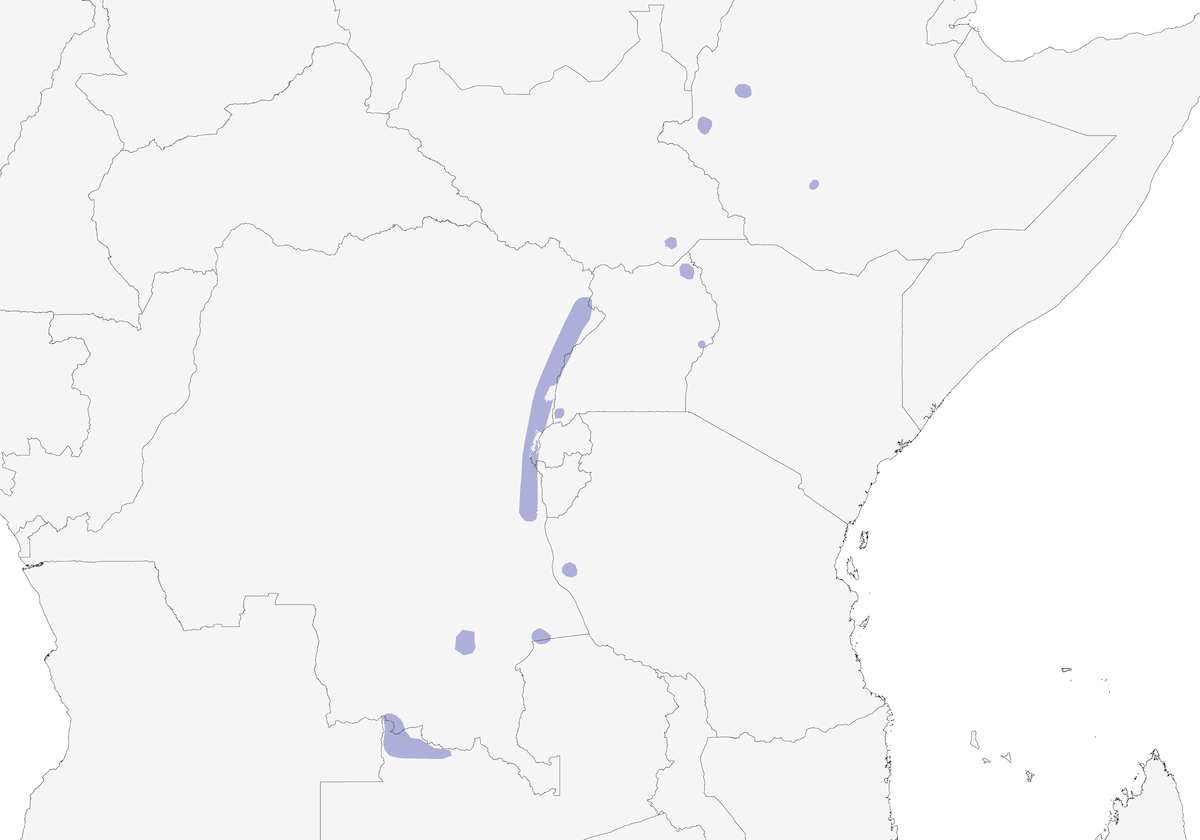 Bamboo Warbler, Distribution 1