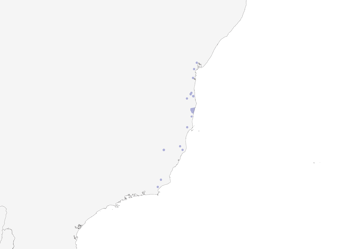 Band-tailed Antwren, Distribution 1
