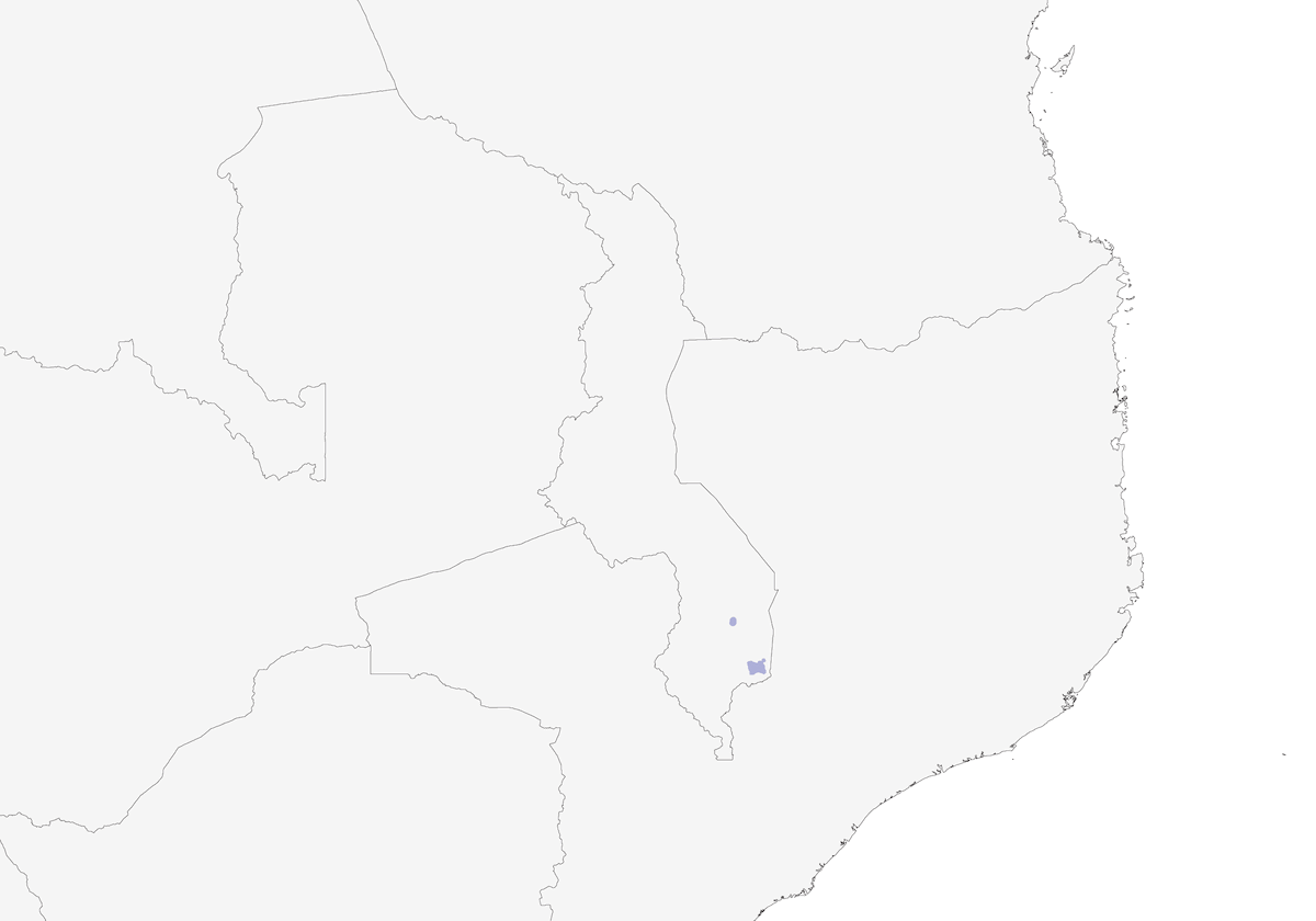 Apalis de garganta amarilla, Distribución 1