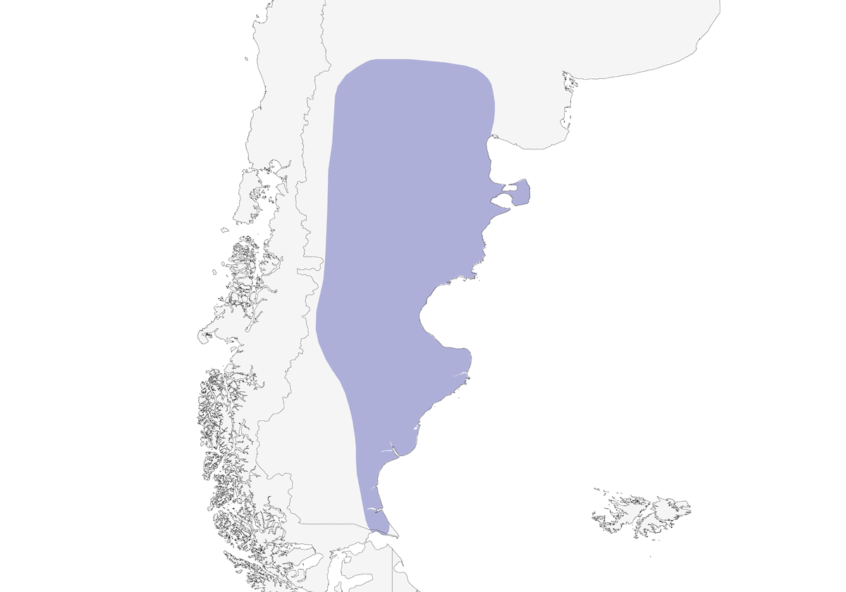 Rampicante terrestre dalla coda fasciata, Distribuzione 1